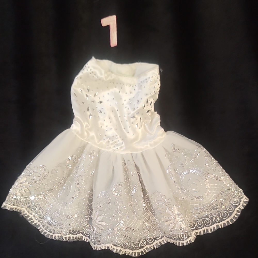 Elegant White and Silver Dress